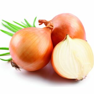 cebolla