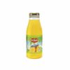 JUGO DE MANGO DEL MONTE 250ML