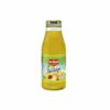 JUGO DE DURAZNO DEL MONTE 250ML