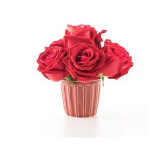 Arreglo Floral de 4 Rosas Rojas